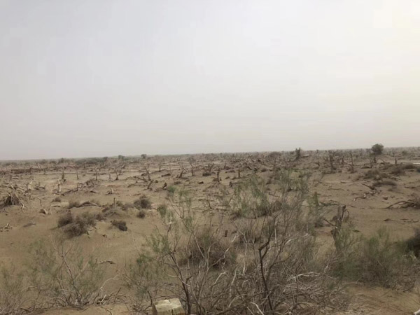 證明婚外情需要什么證據呢?能要求哪些賠償呢?上海婚外情離婚律師為你解答