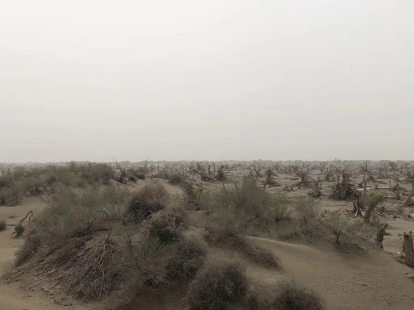 成親20天離婚財產是怎樣處置的？上海離婚律師收費咨詢網為您講解