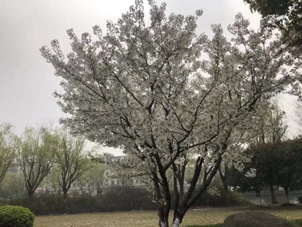 上海離婚律師咨詢網(wǎng)來(lái)講講離婚時(shí)股份沒(méi)有分割怎么辦