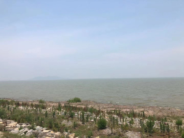 上?；橐雎蓭熃獯穑弘x婚時(shí)子女撫養(yǎng)權(quán)歸誰(shuí)？撫養(yǎng)費(fèi)該給多少呢？