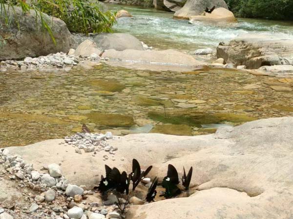 收了彩禮后,還需要退還嗎?普陀婚姻律師為你講解最新法律規(guī)定