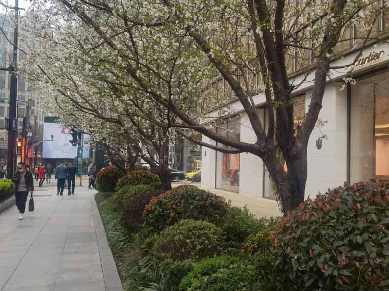 上海離婚財(cái)產(chǎn)分割律師為您推薦離婚財(cái)產(chǎn)分割的法律知識