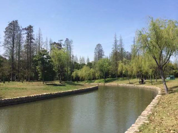 夫妻離婚財產分割中該給孩子分多少？上海知名離婚律師來回答