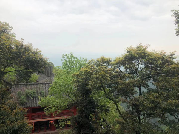 離婚案件如何分割股票投資基金份額等有價證券?黃浦婚姻律師帶您了解