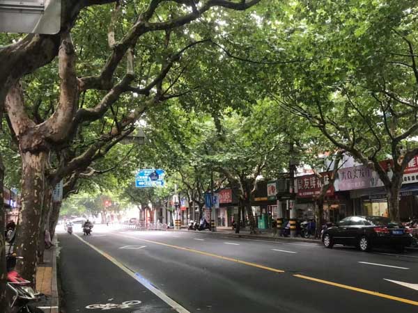 分居半年可以起訴離婚嗎?上海離婚訴訟律師告訴你