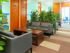 上海閔行婚姻律師