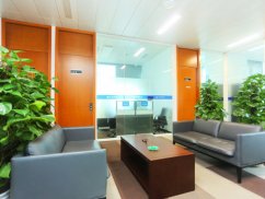 上海浦東婚姻律師