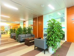 上海浦東婚姻律師